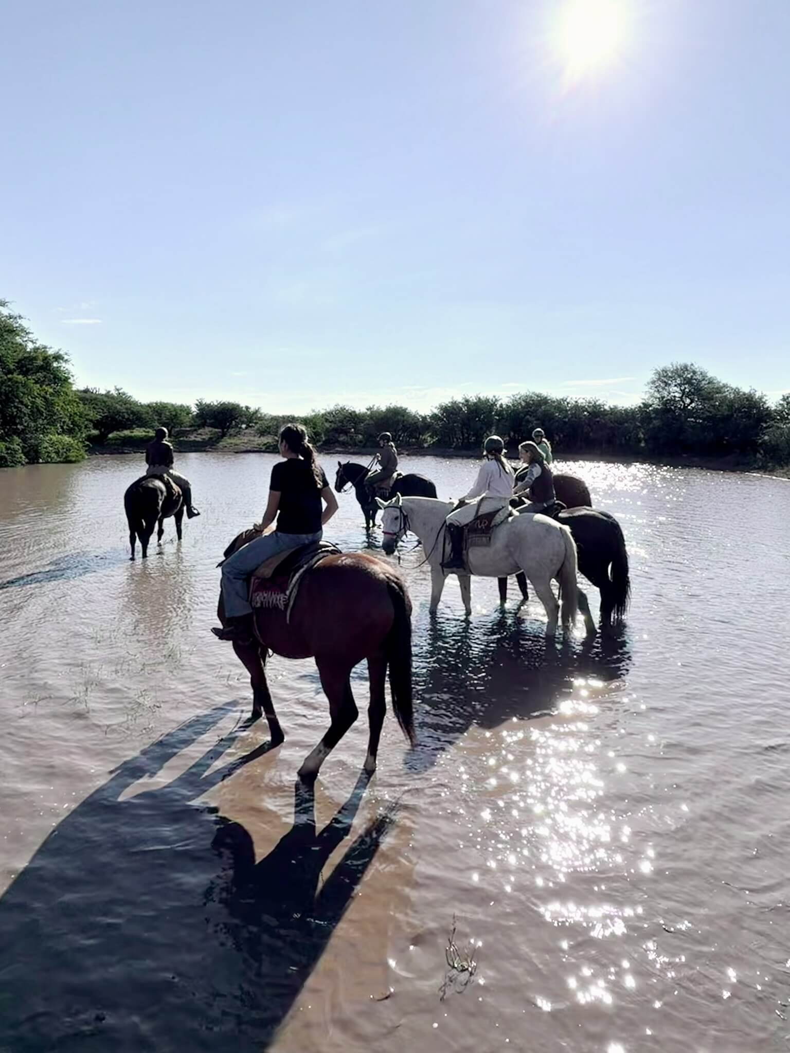 Multiple horses with riders at lake
